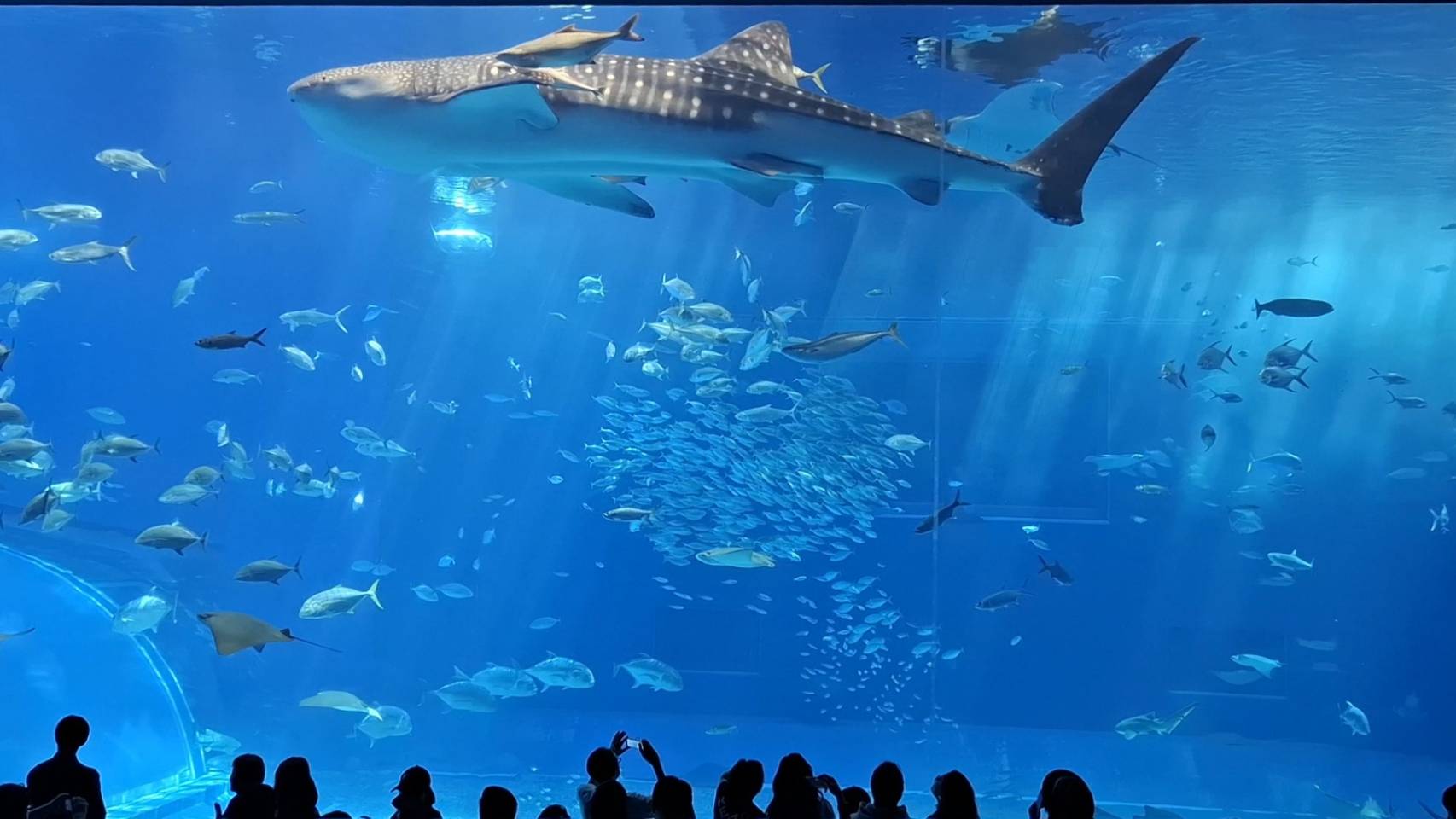 沖繩獨旅